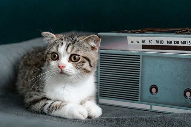 What makes radio such a powerful medium?